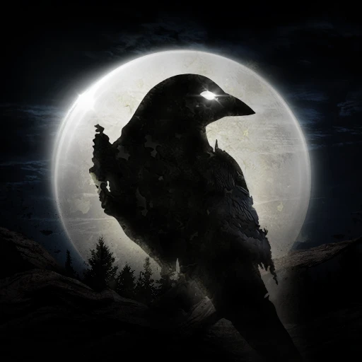 NIGHT CROWS - Link